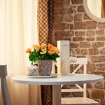 شقة Rustic Sv Frane In The Old Town *